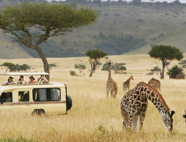 Serengeti Masai Mara safari