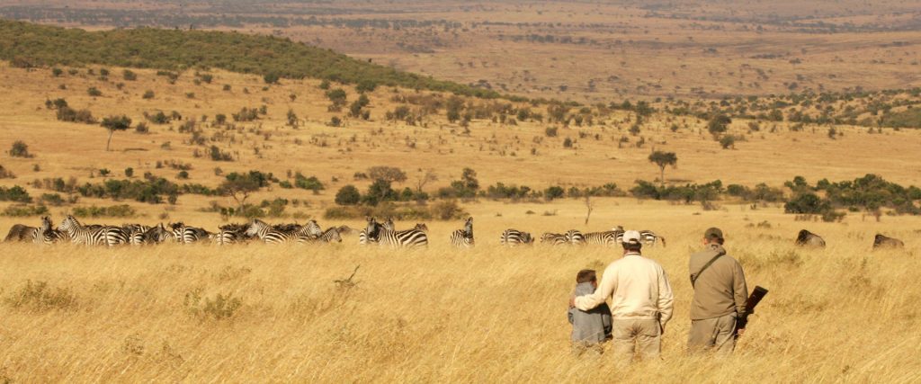 Masai mara encounter